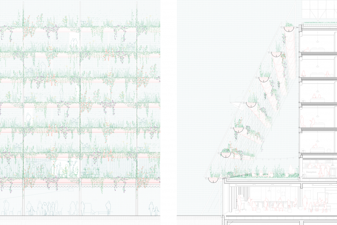 Fassadenschnitt und Teilansicht der bewachsenen Struktur - Hotelneubau am Aqualand - Aretz Dürr Architektur Köln