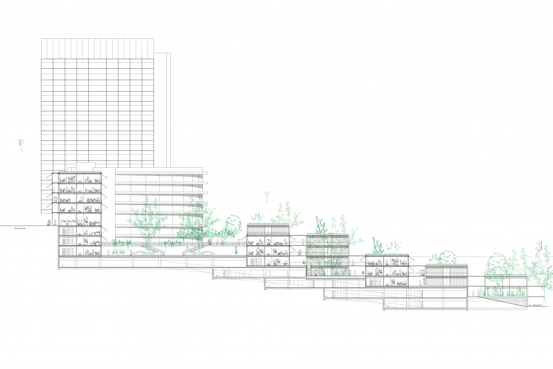 Schnitt durch die Höfe - Aretz Dürr Architektur Köln