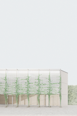 Rendering Fassade - Laden S // 43 Hachenburg - Aretz Dürr Architektur BDA Köln 